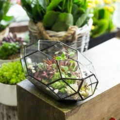 Handmade 11" Height Long Irregular Oval Geometric Glass Terrarium Lantern For Fern Moss Succulents -Ncyp Garden Store product image 386949526