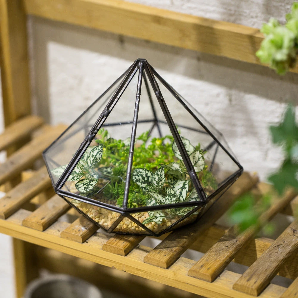 Handmade Diamond Black Glass Geometric Terrarium With Door For Succulents Moss Airplants 4 Handmade Diamond Black Glass Geometric Terrarium With Door For Succulents Moss Airplants - Image 2