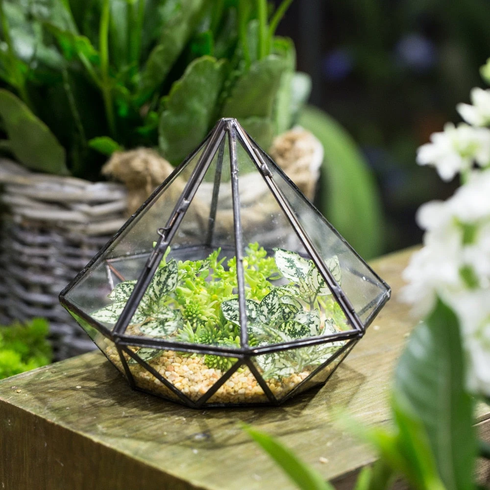 Handmade Diamond Black Glass Geometric Terrarium With Door For Succulents Moss Airplants 9 Handmade Diamond Black Glass Geometric Terrarium With Door For Succulents Moss Airplants - Image 7