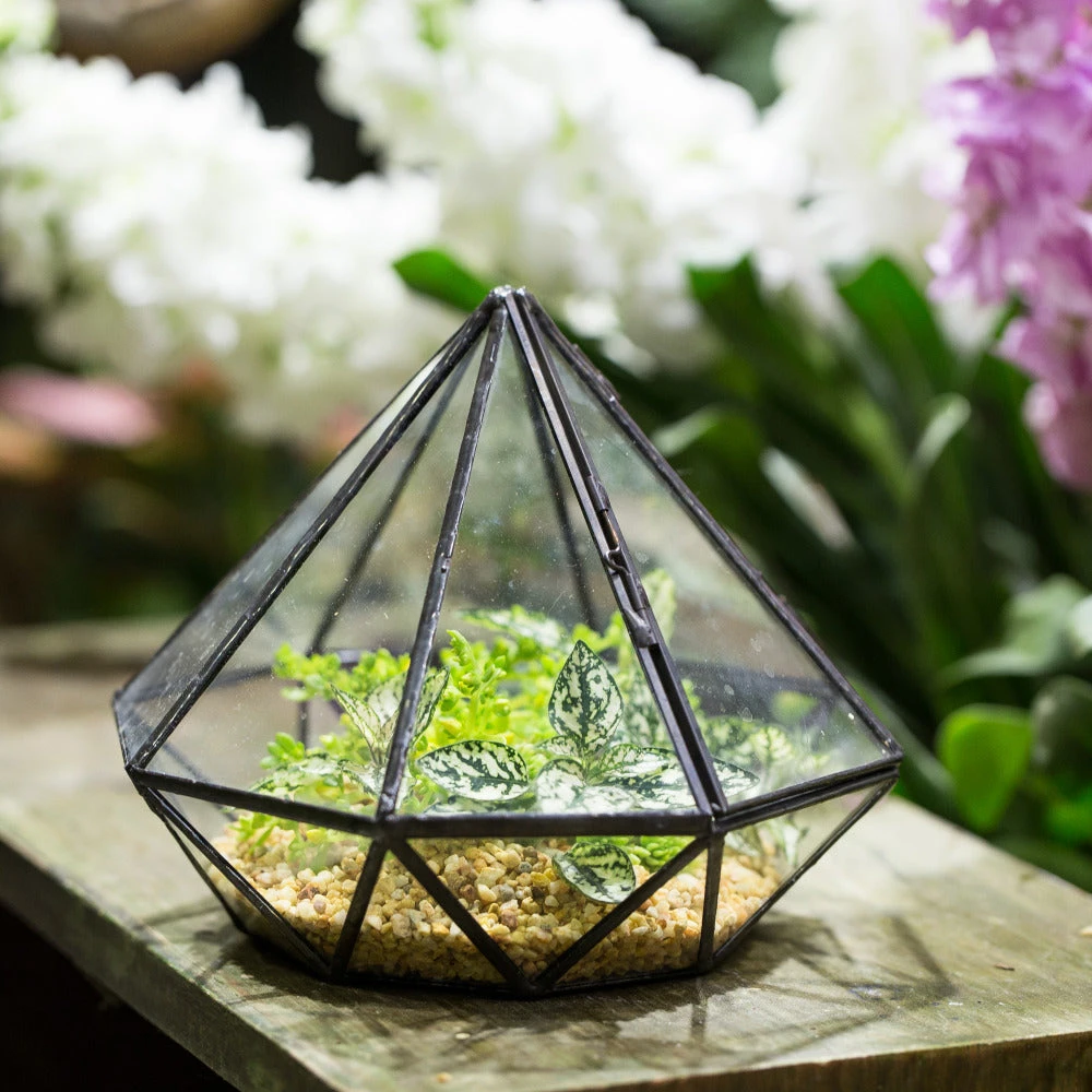 Handmade Diamond Black Glass Geometric Terrarium With Door For Succulents Moss Airplants 11 Handmade Diamond Black Glass Geometric Terrarium With Door For Succulents Moss Airplants - Image 9