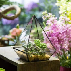 Handmade Modern Glass Geometric Terrarium Polyhedrons For Succulent Cacti Moss 24 Handmade Modern Glass Geometric Terrarium Polyhedrons For Succulent Cacti Moss -Ncyp Garden Store product image 392970871
