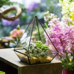 Handmade Modern Glass Geometric Terrarium Polyhedrons For Succulent Cacti Moss 27 Handmade Modern Glass Geometric Terrarium Polyhedrons For Succulent Cacti Moss -Ncyp Garden Store product image 392970883