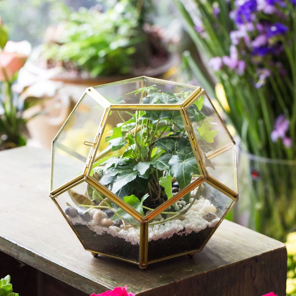 Handmade Copper Pentagon Glass Geometric Terrarium With Feet And Door For Succulent Moss Air Plant 5 Handmade Copper Pentagon Glass Geometric Terrarium With Feet And Door For Succulent Moss Air Plant - Image 3