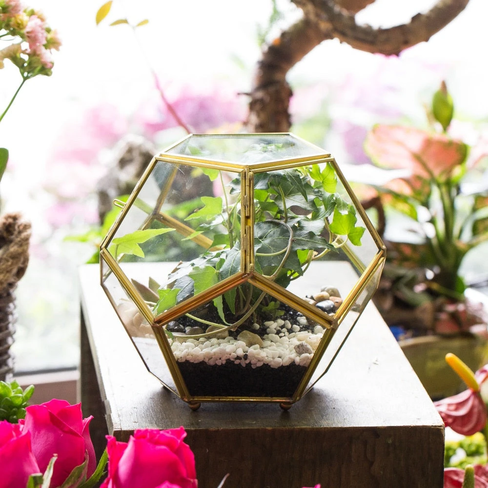 Handmade Copper Pentagon Glass Geometric Terrarium With Feet And Door For Succulent Moss Air Plant 12 Handmade Copper Pentagon Glass Geometric Terrarium With Feet And Door For Succulent Moss Air Plant - Image 10