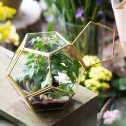 Handmade Copper Pentagon Glass Geometric Terrarium With Feet And Door For Succulent Moss Air Plant 18 Handmade Copper Pentagon Glass Geometric Terrarium With Feet And Door For Succulent Moss Air Plant -Ncyp Garden Store product image 443095115