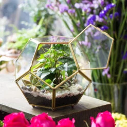 Handmade Copper Pentagon Glass Geometric Terrarium With Feet And Door For Succulent Moss Air Plant 20 Handmade Copper Pentagon Glass Geometric Terrarium With Feet And Door For Succulent Moss Air Plant -Ncyp Garden Store product image 443095148