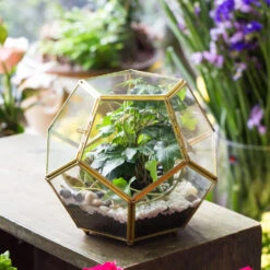 Handmade Copper Pentagon Glass Geometric Terrarium With Feet And Door For Succulent Moss Air Plant 21 Handmade Copper Pentagon Glass Geometric Terrarium With Feet And Door For Succulent Moss Air Plant -Ncyp Garden Store product image 443095150