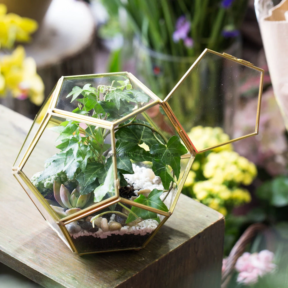 Handmade Copper Pentagon Glass Geometric Terrarium With Feet And Door For Succulent Moss Air Plant 4 Handmade Copper Pentagon Glass Geometric Terrarium With Feet And Door For Succulent Moss Air Plant - Image 2
