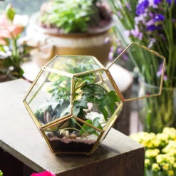 Handmade Copper Pentagon Glass Geometric Terrarium With Feet And Door For Succulent Moss Air Plant 19 Handmade Copper Pentagon Glass Geometric Terrarium With Feet And Door For Succulent Moss Air Plant -Ncyp Garden Store product image 443095158