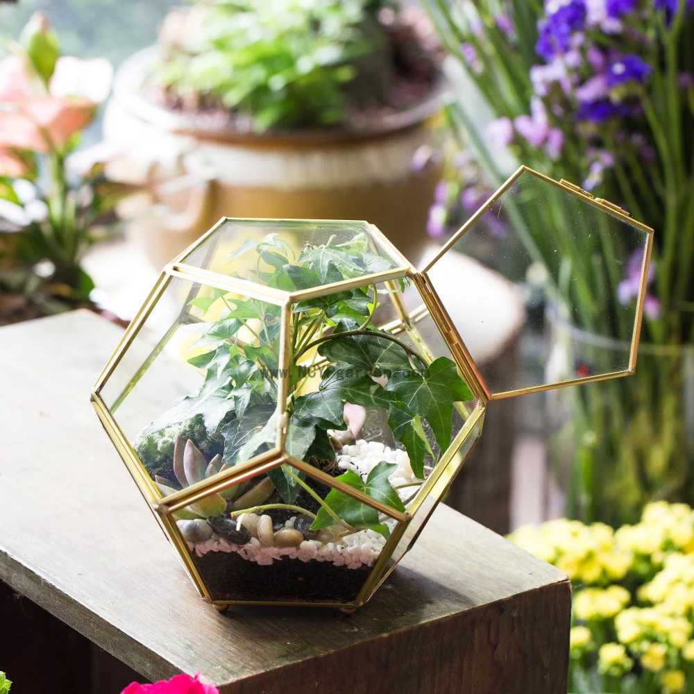 Handmade Copper Pentagon Glass Geometric Terrarium With Feet And Door For Succulent Moss Air Plant 9 Handmade Copper Pentagon Glass Geometric Terrarium With Feet And Door For Succulent Moss Air Plant - Image 7
