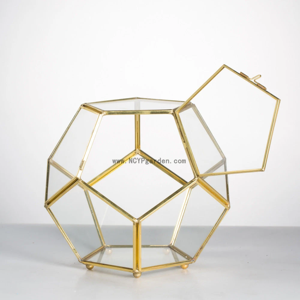 Handmade Copper Pentagon Glass Geometric Terrarium With Feet And Door For Succulent Moss Air Plant 3 Handmade Copper Pentagon Glass Geometric Terrarium With Feet And Door For Succulent Moss Air Plant