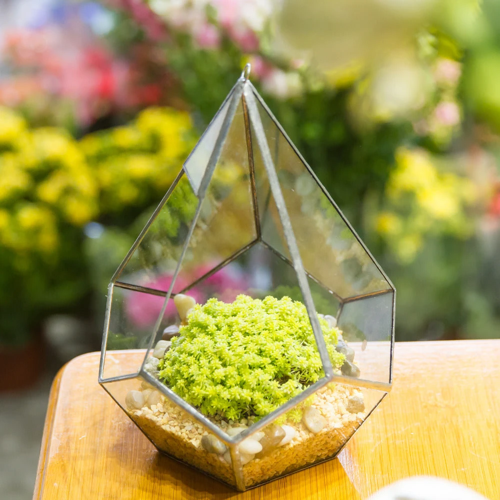 Handmade Silver Hanging Teardrop Shape Geometric Glass Terrarium For Succulent Moss Fern 5 Handmade Silver Hanging Teardrop Shape Geometric Glass Terrarium For Succulent Moss Fern - Image 3