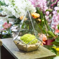 Handmade Silver Hanging Teardrop Shape Geometric Glass Terrarium For Succulent Moss Fern 20 Handmade Silver Hanging Teardrop Shape Geometric Glass Terrarium For Succulent Moss Fern -Ncyp Garden Store product image 449459843