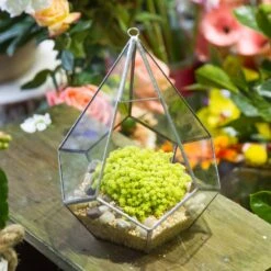 Handmade Silver Hanging Teardrop Shape Geometric Glass Terrarium For Succulent Moss Fern 18 Handmade Silver Hanging Teardrop Shape Geometric Glass Terrarium For Succulent Moss Fern -Ncyp Garden Store product image 449459845