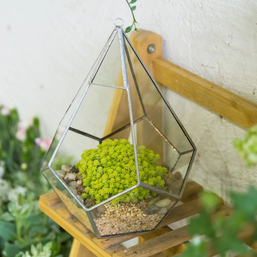 Handmade Silver Hanging Teardrop Shape Geometric Glass Terrarium For Succulent Moss Fern 10 Handmade Silver Hanging Teardrop Shape Geometric Glass Terrarium For Succulent Moss Fern - Image 8