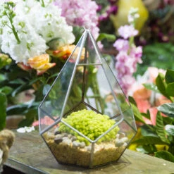 Handmade Silver Hanging Teardrop Shape Geometric Glass Terrarium For Succulent Moss Fern 16 Handmade Silver Hanging Teardrop Shape Geometric Glass Terrarium For Succulent Moss Fern -Ncyp Garden Store product image 449459856