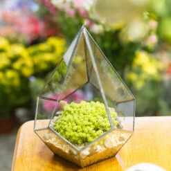 Handmade Silver Hanging Teardrop Shape Geometric Glass Terrarium For Succulent Moss Fern 15 Handmade Silver Hanging Teardrop Shape Geometric Glass Terrarium For Succulent Moss Fern -Ncyp Garden Store product image 449459858