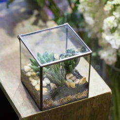 Handmade Square Glass Geometric Terrarium With Lid For Fern Moss Succulents Cacti 20 Handmade Square Glass Geometric Terrarium With Lid For Fern Moss Succulents Cacti -Ncyp Garden Store product image 456312613