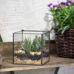 Handmade Square Glass Geometric Terrarium With Lid For Fern Moss Succulents Cacti 22 Handmade Square Glass Geometric Terrarium With Lid For Fern Moss Succulents Cacti -Ncyp Garden Store product image 456312617