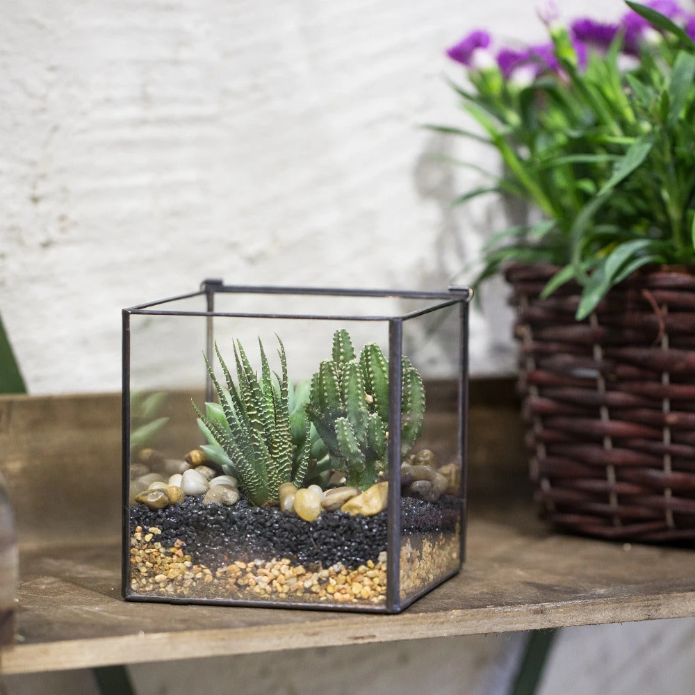 Handmade Square Glass Geometric Terrarium With Lid For Fern Moss Succulents Cacti 11 Handmade Square Glass Geometric Terrarium With Lid For Fern Moss Succulents Cacti - Image 9