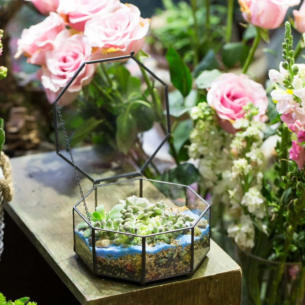 Handmade Flat Octagon Glass Geometric Terrarium For Succulents Fern Moss 7 Handmade Flat Octagon Glass Geometric Terrarium For Succulents Fern Moss - Image 5