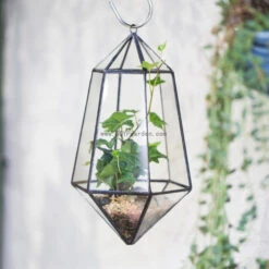 Handmade Hanging Artistic Clear Glass Six-surfaces Diamond Geometric Terrarium DIY For Succulent Pot -Ncyp Garden Store product image 471640401