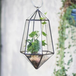 Handmade Hanging Artistic Clear Glass Six-surfaces Diamond Geometric Terrarium DIY For Succulent Pot -Ncyp Garden Store product image 471640411