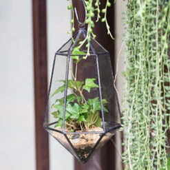 Handmade Hanging Artistic Clear Glass Six-surfaces Diamond Geometric Terrarium DIY For Succulent Pot -Ncyp Garden Store product image 471640414