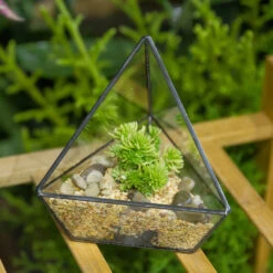 Handmade Geometric Flower Pot Small Glass Terrarium Pot For Container Balcony Garden Succulents 21 Handmade Geometric Flower Pot Small Glass Terrarium Pot For Container Balcony Garden Succulents -Ncyp Garden Store product image 477457920