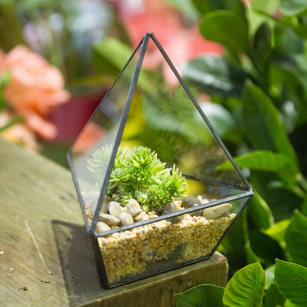 Handmade Geometric Flower Pot Small Glass Terrarium Pot For Container Balcony Garden Succulents 6 Handmade Geometric Flower Pot Small Glass Terrarium Pot For Container Balcony Garden Succulents - Image 4