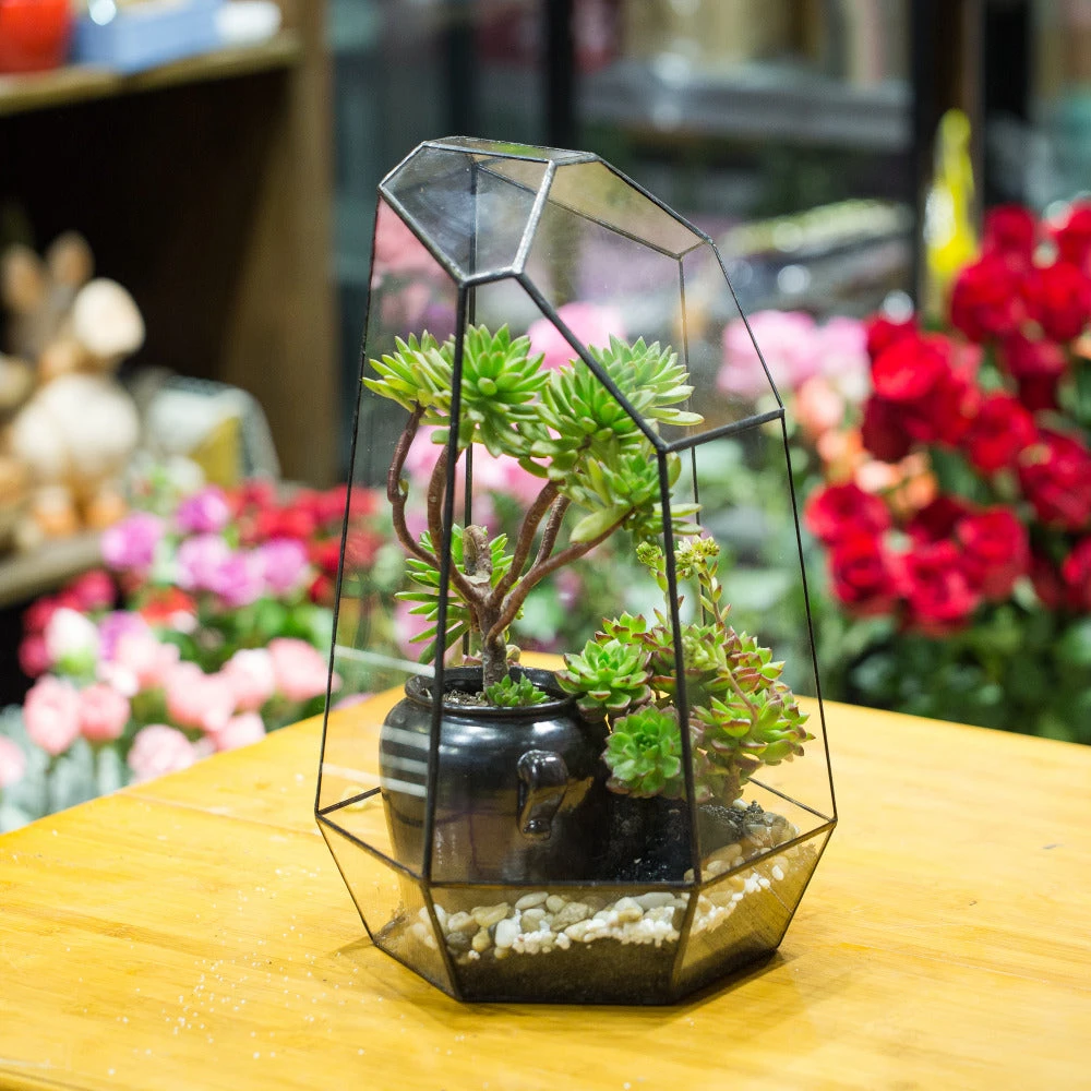 Handmade 41cm / 16" Tall Irregular Open Glass Geometric Terrarium Box For Succulent Moss Airplants 10 Handmade 41cm / 16" Tall Irregular Open Glass Geometric Terrarium Box For Succulent Moss Airplants - Image 8