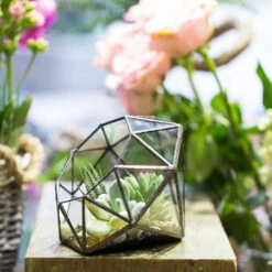 Handmade Diamond Open Glass Geometric Terrarium For Succulents Moss Fern Cacti -Ncyp Garden Store product image 477562839