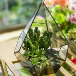 Handmade Black Hanging Teardrop Shape Glass Geometric Terrarium For Succulents Cacti -Ncyp Garden Store product image 480627807