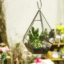 Handmade Black Hanging Teardrop Shape Glass Geometric Terrarium For Succulents Cacti -Ncyp Garden Store product image 480627809