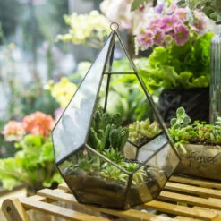 Handmade Black Hanging Teardrop Shape Glass Geometric Terrarium For Succulents Cacti -Ncyp Garden Store product image 480627810