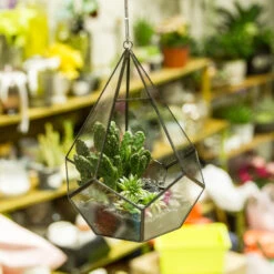 Handmade Black Hanging Teardrop Shape Glass Geometric Terrarium For Succulents Cacti -Ncyp Garden Store product image 480627811