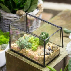 Handmade Rectangle Clear Glass Geometric Terrarium Box For Succulents Fern Moss Plant Flower 23 Handmade Rectangle Clear Glass Geometric Terrarium Box For Succulents Fern Moss Plant Flower -Ncyp Garden Store product image 480627941