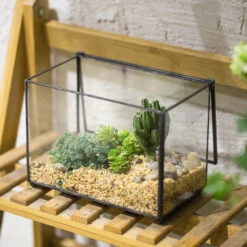 Handmade Rectangle Clear Glass Geometric Terrarium Box For Succulents Fern Moss Plant Flower 15 Handmade Rectangle Clear Glass Geometric Terrarium Box For Succulents Fern Moss Plant Flower -Ncyp Garden Store product image 480627943