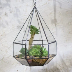 Handmade Hanging Six-surface Diamond Glass Geometric Terrarium With 3 Spaced Opening For Succulents -Ncyp Garden Store product image 482680861