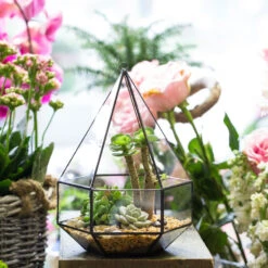 Handmade Hanging Six-surface Diamond Glass Geometric Terrarium With 3 Spaced Opening For Succulents -Ncyp Garden Store product image 482680863