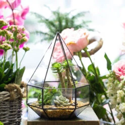 Handmade Hanging Six-surface Diamond Glass Geometric Terrarium With 3 Spaced Opening For Succulents -Ncyp Garden Store product image 482680889