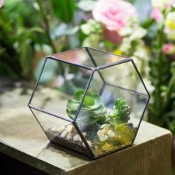 Handmade Thick Geometric Hexagon Glass Terrarium For Succulent Moss Airplants -Ncyp Garden Store product image 496902025