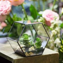 Handmade Thick Geometric Hexagon Glass Terrarium For Succulent Moss Airplants -Ncyp Garden Store product image 496902026
