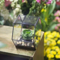 Handmade Thick Geometric Hexagon Glass Terrarium For Succulent Moss Airplants -Ncyp Garden Store product image 496902027