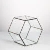 Handmade Thick Geometric Hexagon Glass Terrarium For Succulent Moss Airplants 1 Handmade Thick Geometric Hexagon Glass Terrarium For Succulent Moss Airplants -Ncyp Garden Store product image 496902042