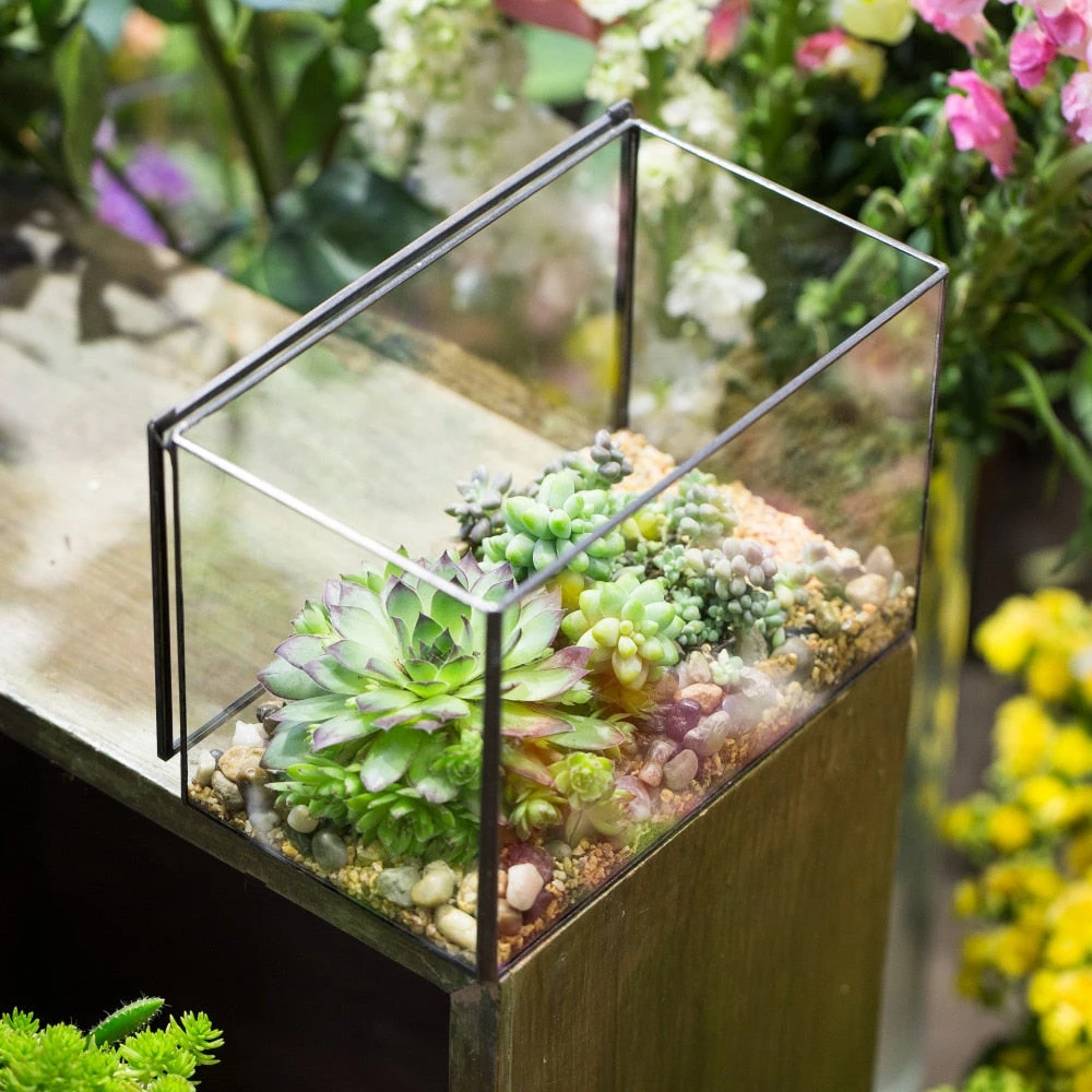 Handmade Rectangle Clear Glass Geometric Terrarium Box With Lid For Succulents Micro Landscape 10 Handmade Rectangle Clear Glass Geometric Terrarium Box With Lid For Succulents Micro Landscape - Image 8