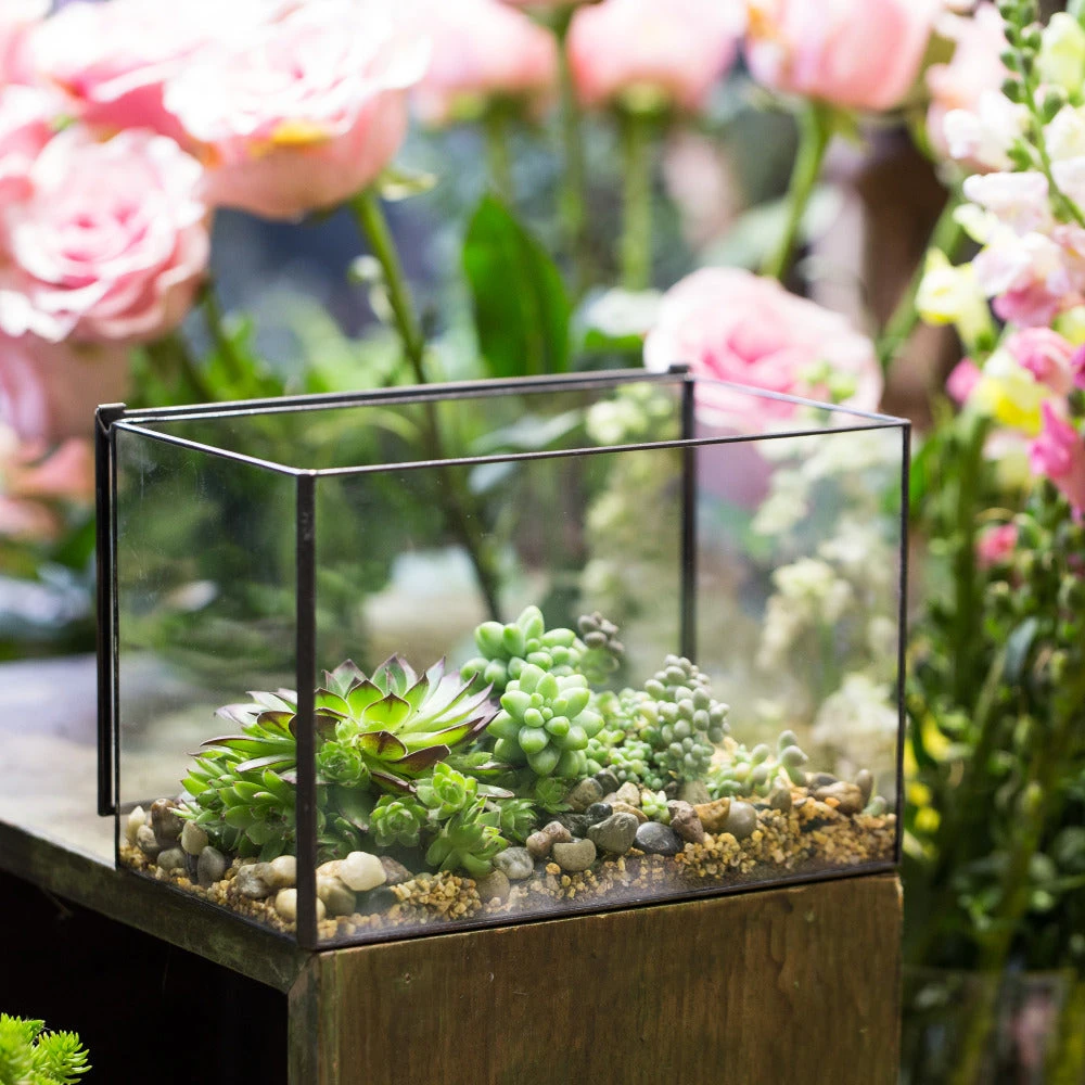 Handmade Rectangle Clear Glass Geometric Terrarium Box With Lid For Succulents Micro Landscape 5 Handmade Rectangle Clear Glass Geometric Terrarium Box With Lid For Succulents Micro Landscape - Image 3