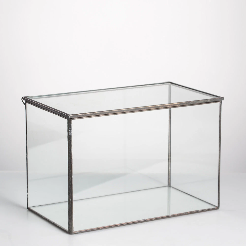Handmade Rectangle Clear Glass Geometric Terrarium Box With Lid For Succulents Micro Landscape 11 Handmade Rectangle Clear Glass Geometric Terrarium Box With Lid For Succulents Micro Landscape - Image 9