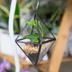 Handmade Small Black Hanging Class Geometric Glass Terrarium For Air Plants Moss -Ncyp Garden Store product image 499872116
