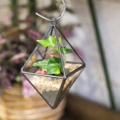 Handmade Small Black Hanging Class Geometric Glass Terrarium For Air Plants Moss -Ncyp Garden Store product image 499872127